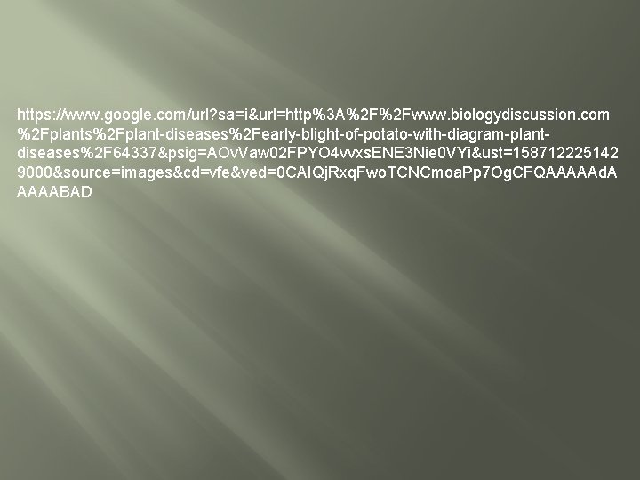https: //www. google. com/url? sa=i&url=http%3 A%2 F%2 Fwww. biologydiscussion. com %2 Fplants%2 Fplant-diseases%2 Fearly-blight-of-potato-with-diagram-plantdiseases%2