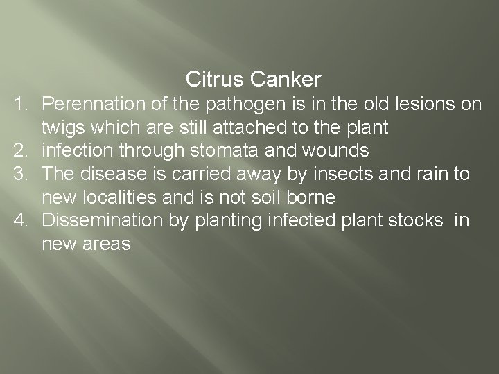 Citrus Canker 1. Perennation of the pathogen is in the old lesions on twigs