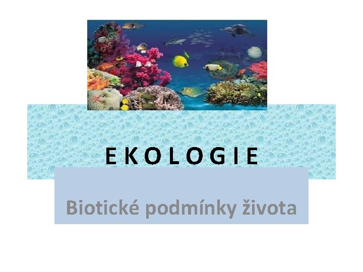 EKOLOGIE Biotické podmínky života 