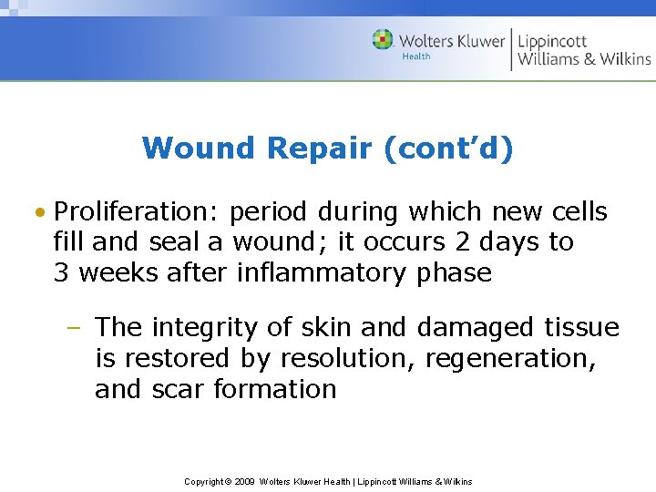 Wound Repair (cont’d) • Proliferation: period during which new cells fill and seal a