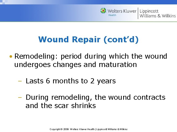 Wound Repair (cont’d) • Remodeling: period during which the wound undergoes changes and maturation