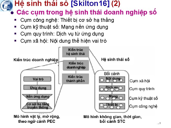 Hệ sinh thái số [Skilton 16] (2) l Các cụm trong hệ sinh thái