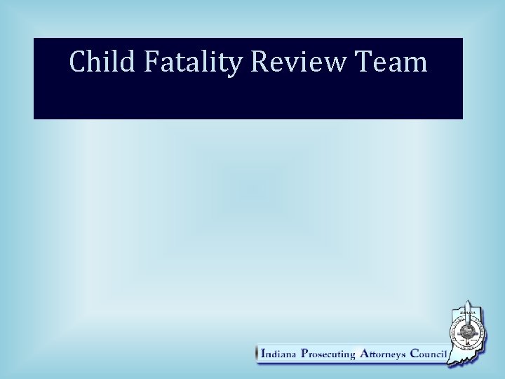 Child Fatality Review Team 