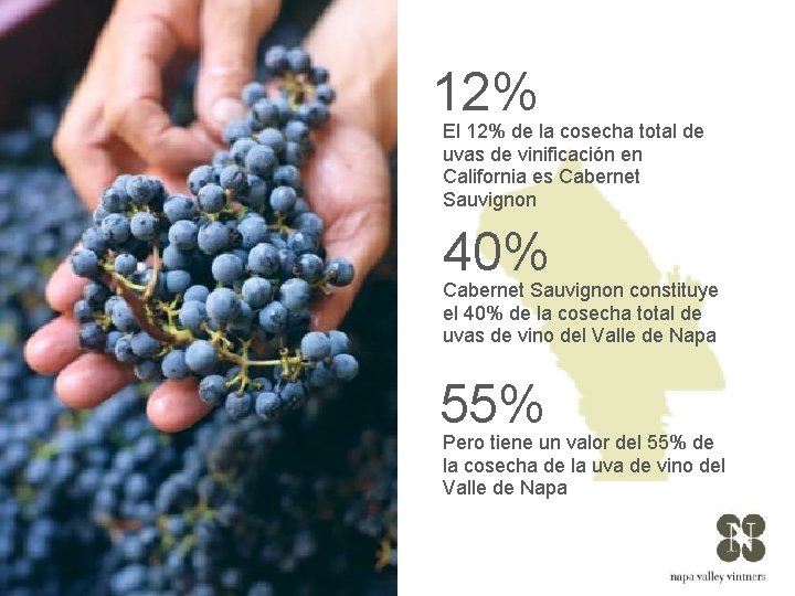 12% El 12% de la cosecha total de uvas de vinificación en California es
