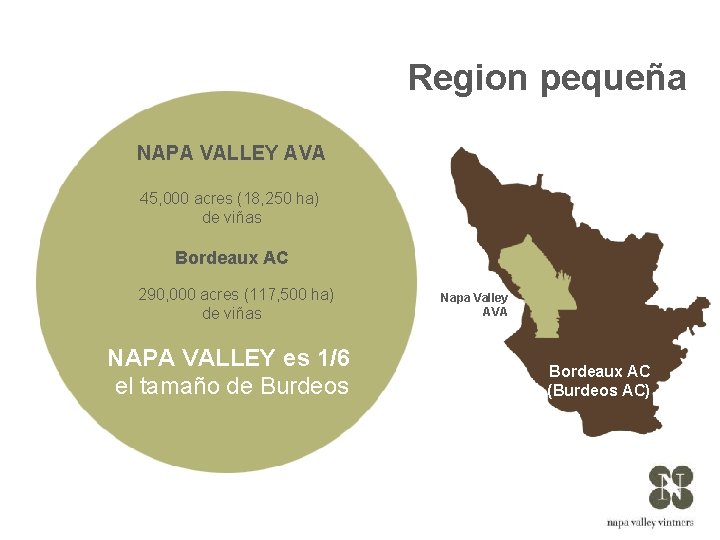 Region pequeña NAPA VALLEY AVA 45, 000 acres (18, 250 ha) de viñas Bordeaux