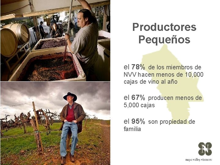 Productores Pequeños el 78% de los miembros de NVV hacen menos de 10, 000