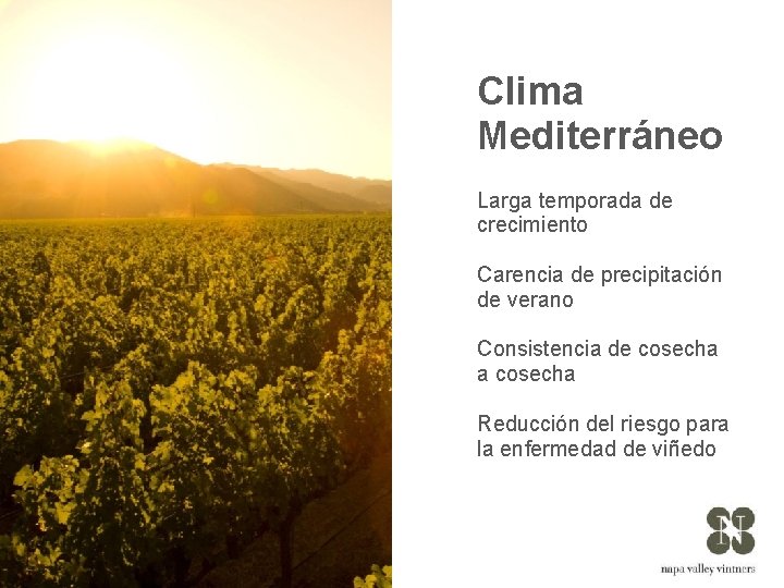 Clima Mediterráneo Larga temporada de crecimiento Carencia de precipitación de verano Consistencia de cosecha