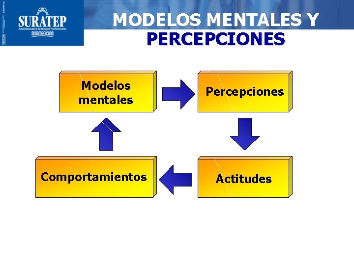 MODELOS MENTALES Y PERCEPCIONES Modelos mentales Comportamientos Percepciones Actitudes 12 