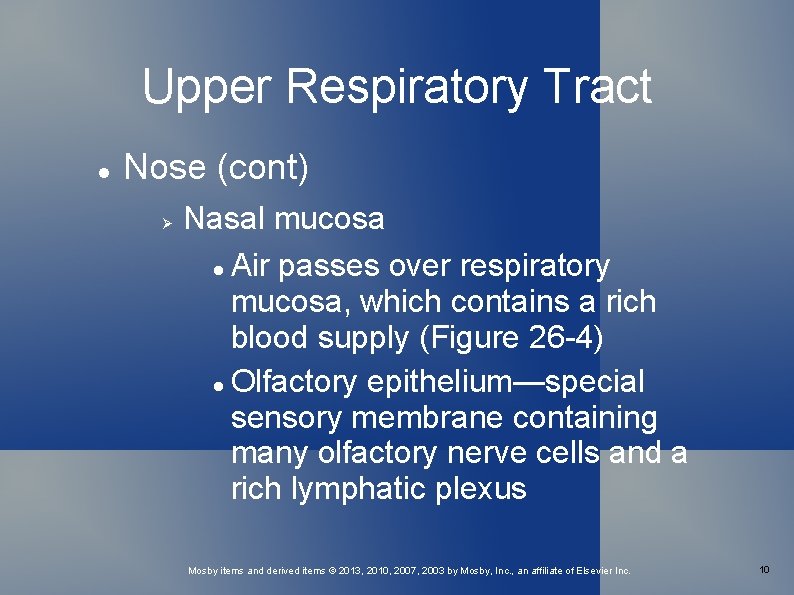 Upper Respiratory Tract Nose (cont) Nasal mucosa Air passes over respiratory mucosa, which contains