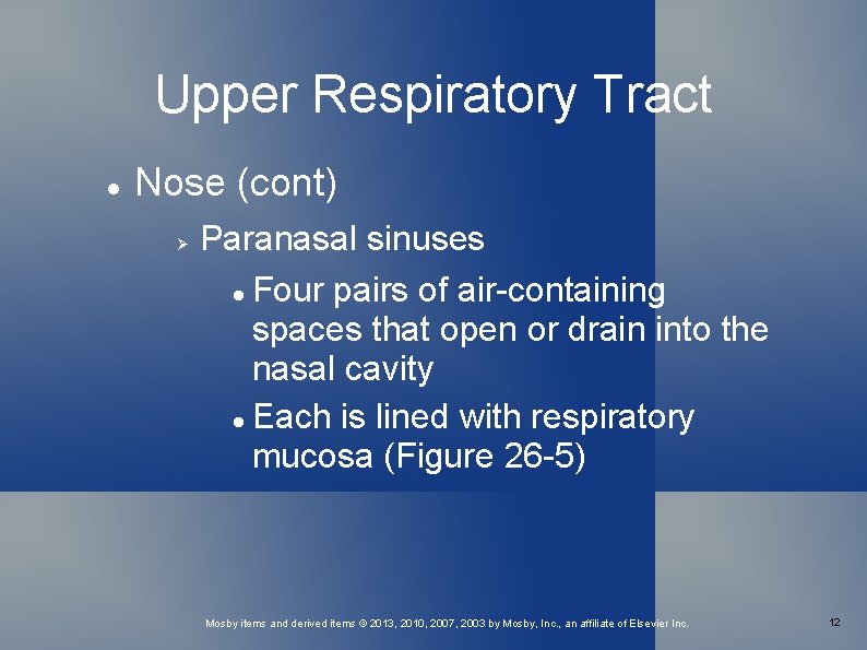 Upper Respiratory Tract Nose (cont) Paranasal sinuses Four pairs of air-containing spaces that open