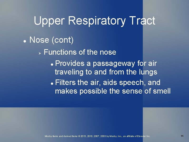 Upper Respiratory Tract Nose (cont) Functions of the nose Provides a passageway for air