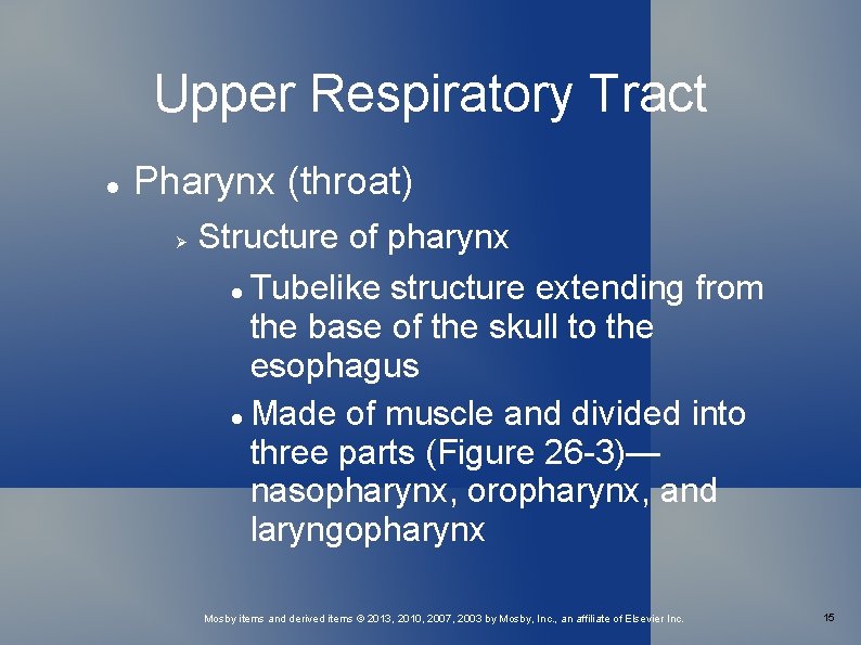 Upper Respiratory Tract Pharynx (throat) Structure of pharynx Tubelike structure extending from the base