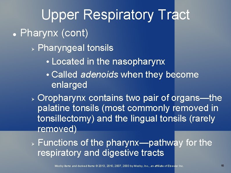 Upper Respiratory Tract Pharynx (cont) Pharyngeal tonsils • Located in the nasopharynx • Called