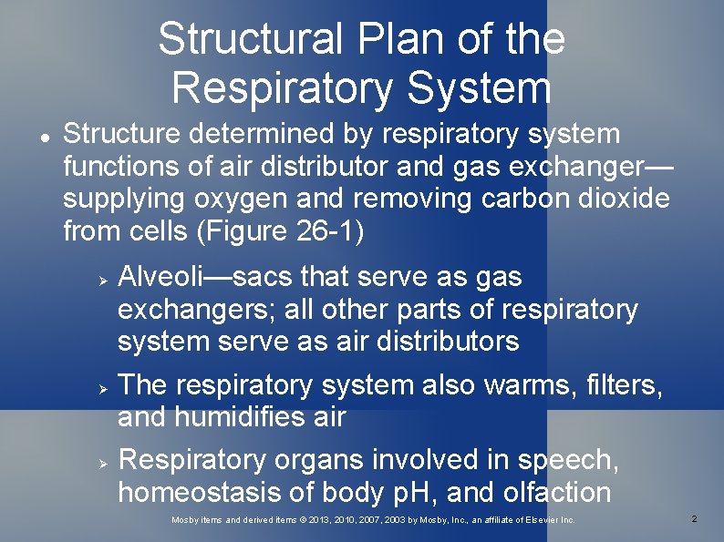 Structural Plan of the Respiratory System Structure determined by respiratory system functions of air