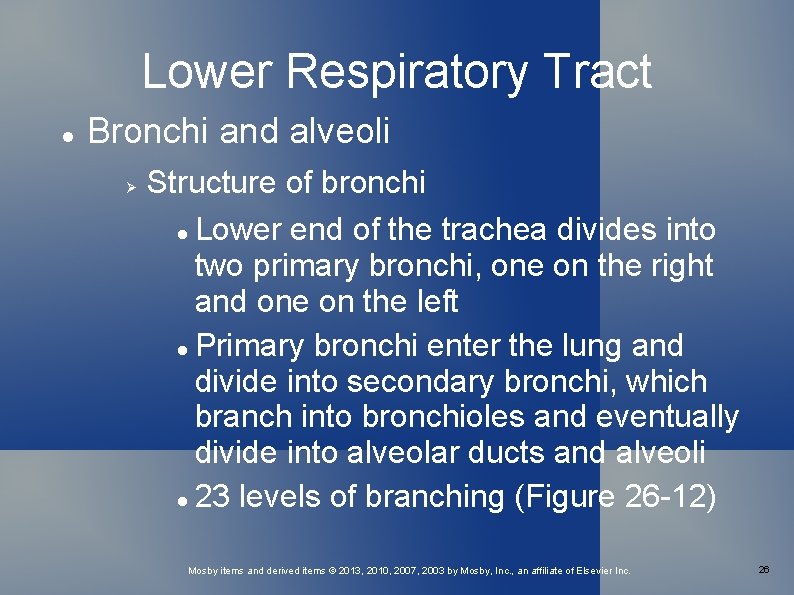 Lower Respiratory Tract Bronchi and alveoli Structure of bronchi Lower end of the trachea