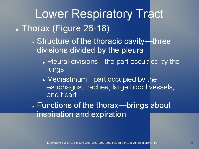 Lower Respiratory Tract Thorax (Figure 26 -18) Structure of the thoracic cavity—three divisions divided