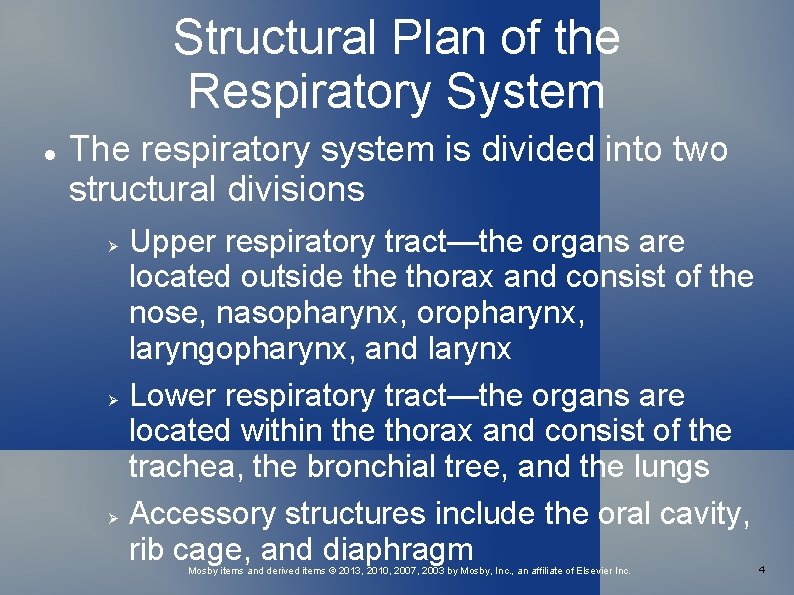 Structural Plan of the Respiratory System The respiratory system is divided into two structural