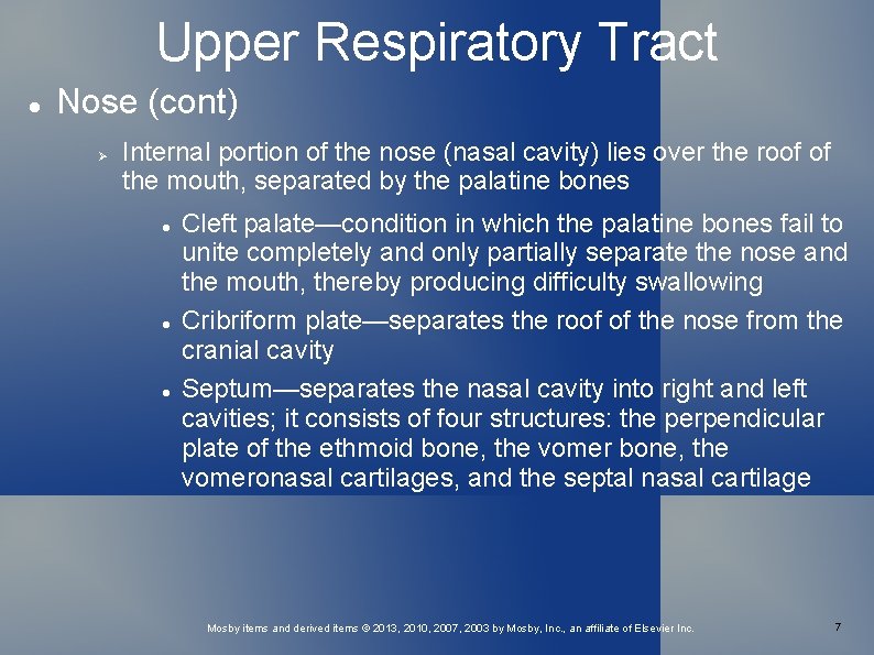 Upper Respiratory Tract Nose (cont) Internal portion of the nose (nasal cavity) lies over