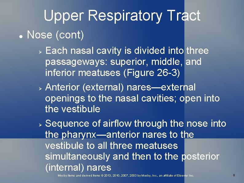 Upper Respiratory Tract Nose (cont) Each nasal cavity is divided into three passageways: superior,