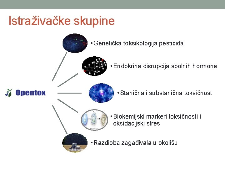 Istraživačke skupine • Genetička toksikologija pesticida • Endokrina disrupcija spolnih hormona • Stanična i