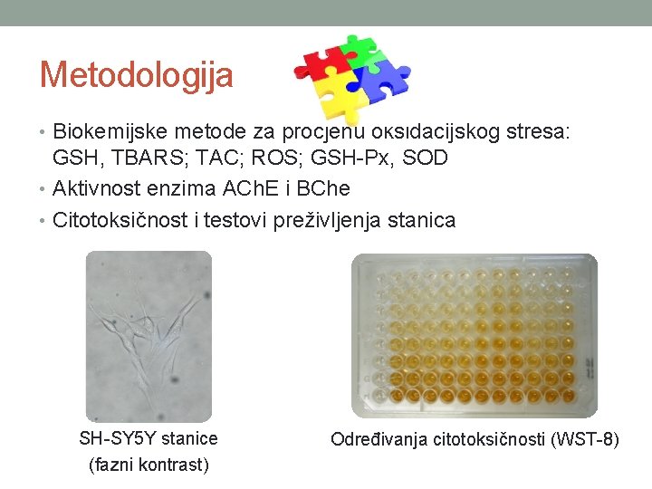 Metodologija • Biokemijske metode za procjenu oksidacijskog stresa: GSH, TBARS; TAC; ROS; GSH-Px, SOD