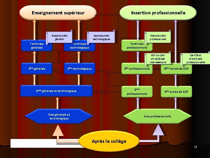 Enseignement supérieur Baccalauréat général Insertion professionnelle Baccalauréat technologique Terminale générale Baccalauréat professionnel Terminale technologique