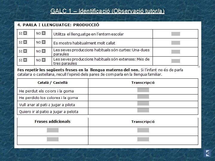 GALC 1 – Identificació (Observació tutor/a) 