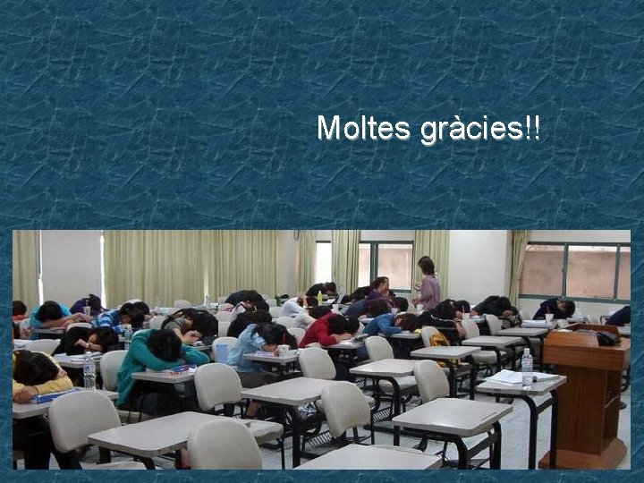 Moltes gràcies!! 