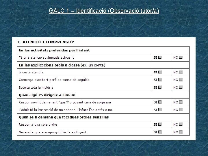 GALC 1 – Identificació (Observació tutor/a) 