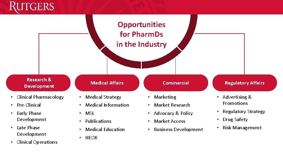 OPTION 1 a Opportunities for Pharm. Ds in the Industry Research & Development Medical