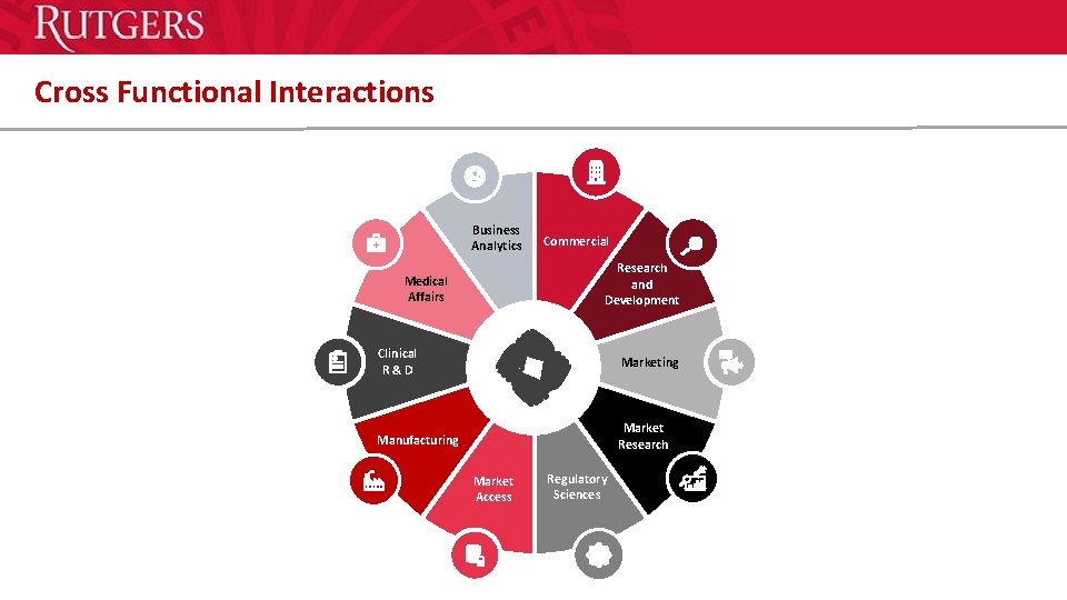 Cross Functional Interactions Business Analytics Commercial Research and Development Medical Affairs Clinical R &