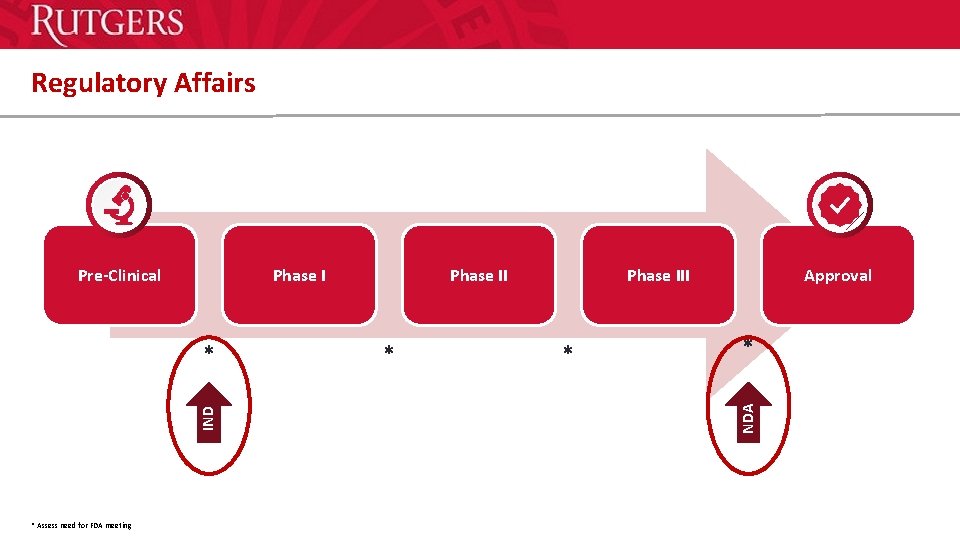 Regulatory Affairs Phase I IND * * Assess need for FDA meeting Phase II