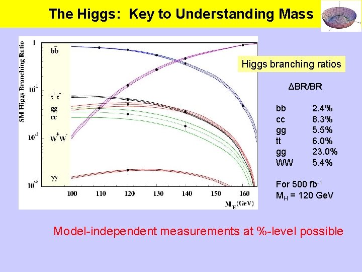 The Higgs: Key to Understanding Mass Higgs branching ratios ΔBR/BR bb cc gg tt