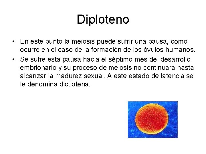 Meiosis Proceso de divisin celular en el que