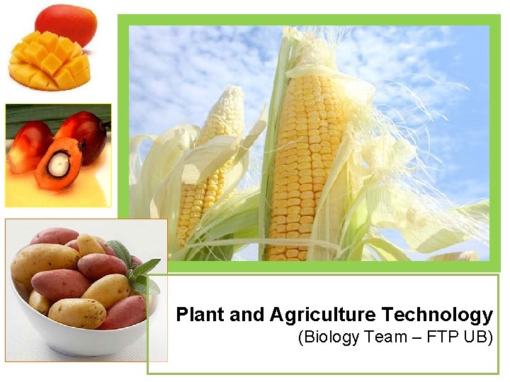 Plant and Agriculture Technology (Biology Team – FTP UB) 