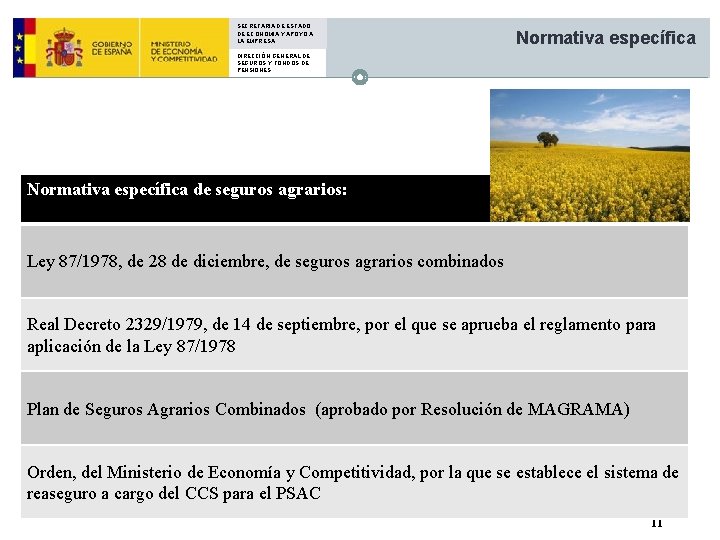 SECRETARIA DE ESTADO DE ECONOMIA Y APOYO A LA EMPRESA Normativa específica DIRECCIÓN GENERAL