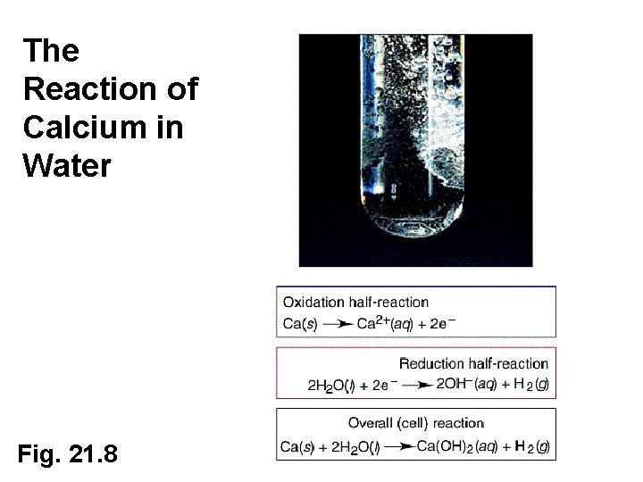 The Reaction of Calcium in Water Fig. 21. 8 