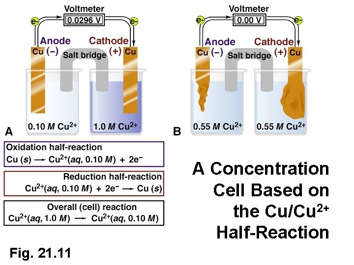 A Concentration Cell Based on the Cu/Cu 2+ Half-Reaction Fig. 21. 11 