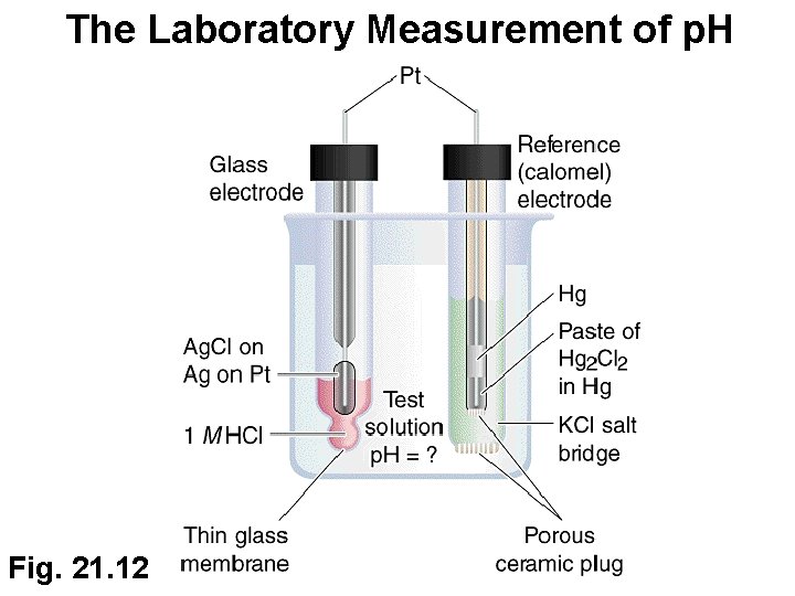 The Laboratory Measurement of p. H Fig. 21. 12 