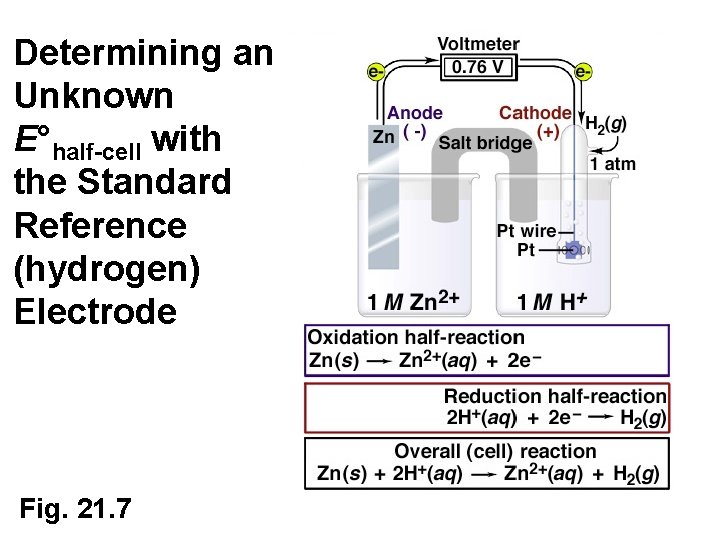 Determining an Unknown E°half-cell with the Standard Reference (hydrogen) Electrode Fig. 21. 7 