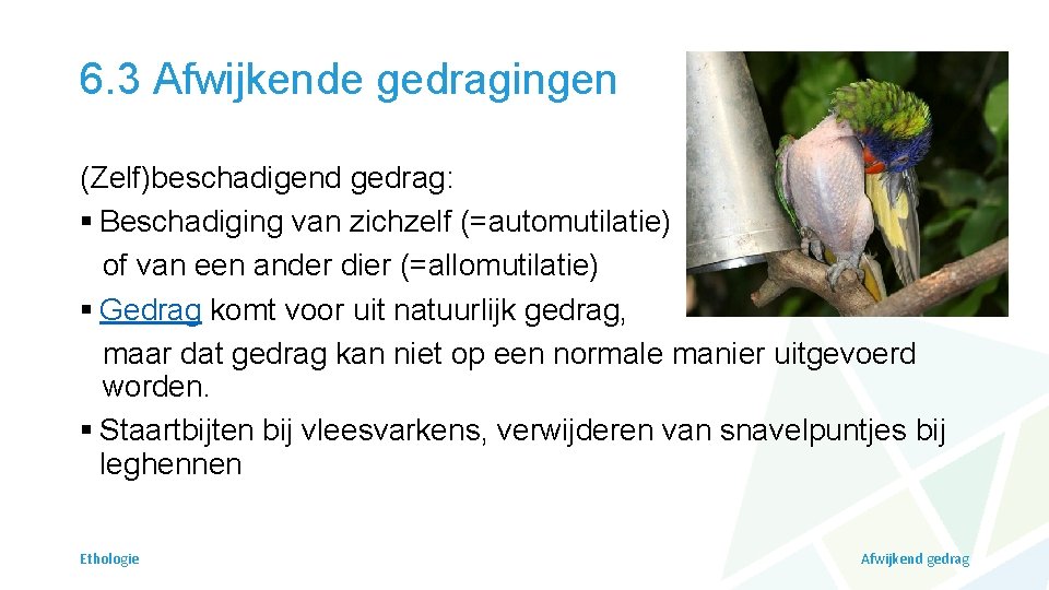 6. 3 Afwijkende gedragingen (Zelf)beschadigend gedrag: § Beschadiging van zichzelf (=automutilatie) of van een