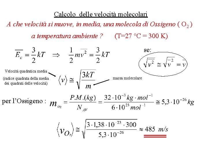 Calcolo delle velocità molecolari A che velocità si muove, in media, una molecola di