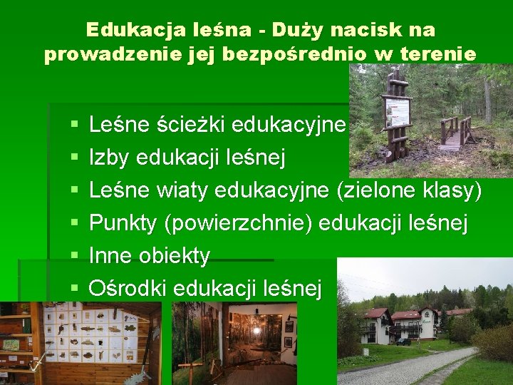 Edukacja leśna - Duży nacisk na prowadzenie jej bezpośrednio w terenie § § §