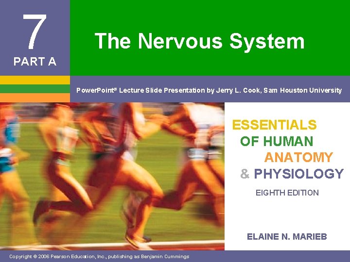 7 The Nervous System PART A Power. Point® Lecture Slide Presentation by Jerry L.