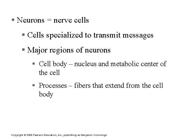 Nervous Tissue: Neurons § Neurons = nerve cells § Cells specialized to transmit messages