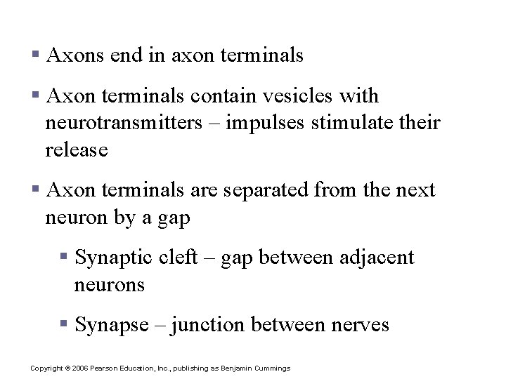 Axons and Nerve Impulses § Axons end in axon terminals § Axon terminals contain