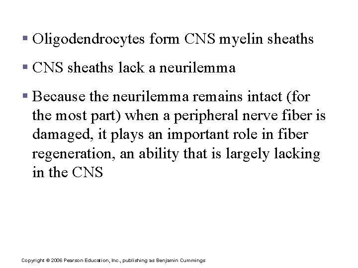 Nerve Fiber Coverings § Oligodendrocytes form CNS myelin sheaths § CNS sheaths lack a