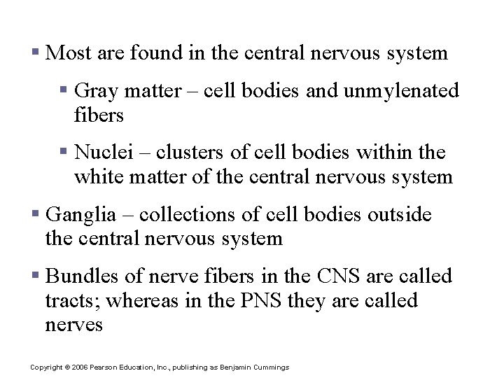 Neuron Cell Body Location § Most are found in the central nervous system §