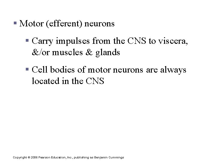 Functional Classification of Neurons § Motor (efferent) neurons § Carry impulses from the CNS