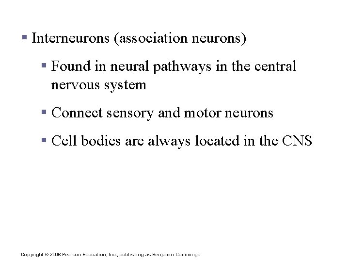 Functional Classification of Neurons § Interneurons (association neurons) § Found in neural pathways in